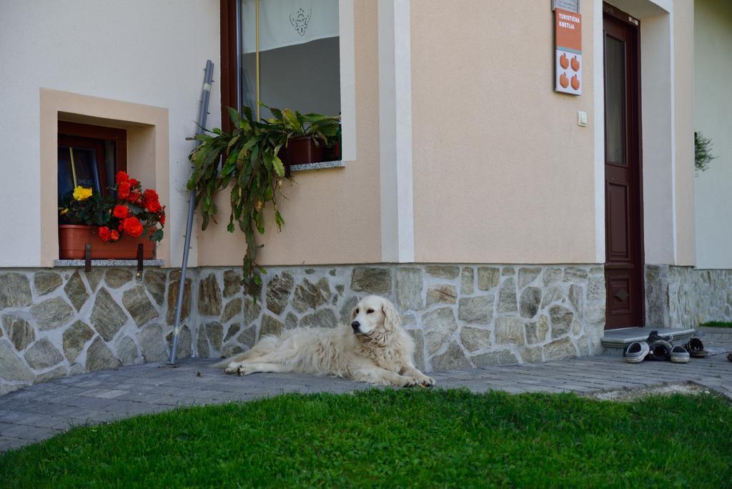 Eco Tourist Farm Ravnjak Slovenj Gradec Exterior foto