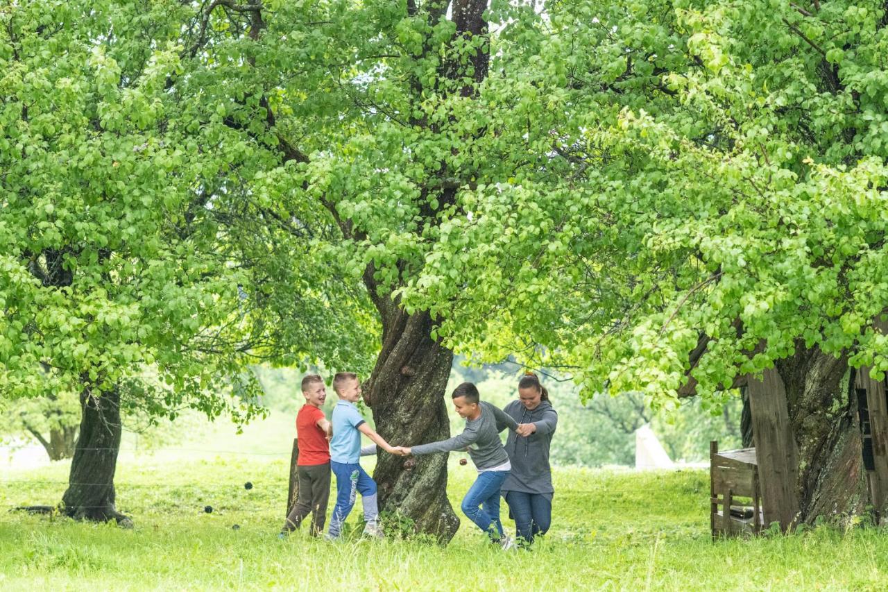 Eco Tourist Farm Ravnjak Slovenj Gradec Exterior foto