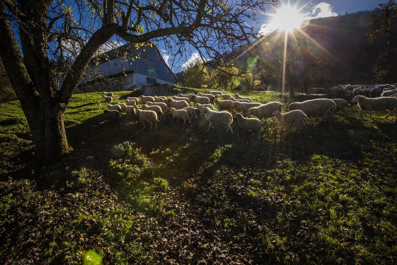 Eco Tourist Farm Ravnjak Slovenj Gradec Exterior foto