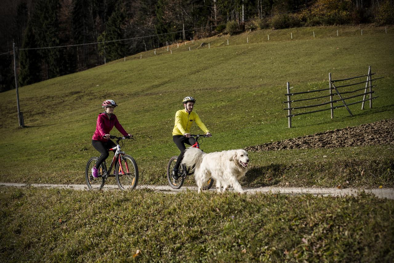 Eco Tourist Farm Ravnjak Slovenj Gradec Exterior foto